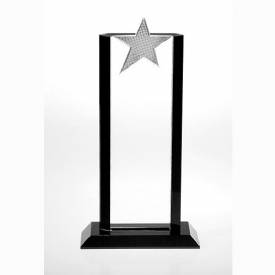 Flair Metal Crystal Star Award