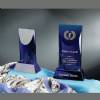 Patina Crystal Award