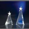 Show Time Crystal Star Award