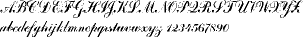 Coventry Script