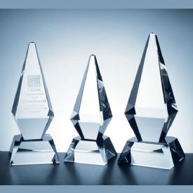 Excellence Crystal Award