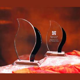 Artisan Crystal Award