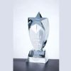 Rising Crystal Star Award