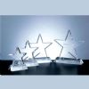 Motivation Crystal Star Award
