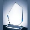 Prestige Summit Crystal Award