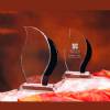 Artisan Crystal Award