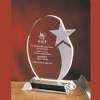 Oval Crystal Star Award