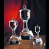 Trophy Cup Crystal Award