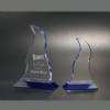 Infusion Crystal Award