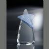 Pandamonium Crystal Award